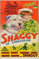 Shaggy poster