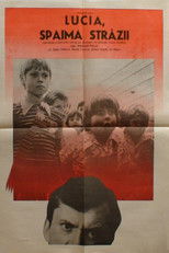 Lucia, spaima străzii