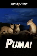 Poster for Puma!