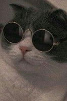 Alejandro Rivera Hurtado