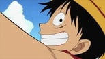 Ver ¡Soy Luffy! ¡El hombre que se convertirá en el Rey de los Piratas! online en cinecalidad