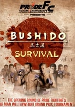 Poster for Pride Bushido 11