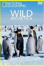 Poster for Wild Antarctica 