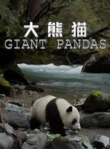 大熊猫 poster