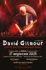 David Gilmour Live at the Circus Maximus, Rome (2025)