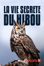 Poster for La vie secrète du hibou 