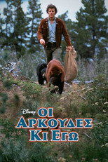 Οι Αρκούδες κι Εγώ