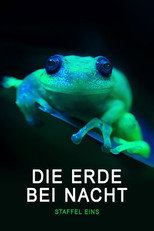 Poster zu Staffel 1 – Die Erde bei Nacht