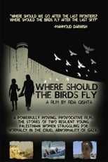 Poster for Where Should the Birds Fly?