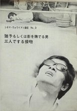 Postponement, or the man who stroked his own shadow