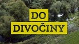 Do divočiny! 2x1 (S02E01)
