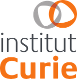 Institut Curie