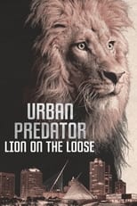 Poster for Urban Predator: Lion on the Loose