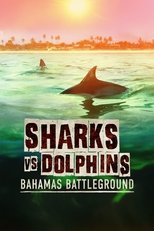 Poster for Sharks vs. Dolphins: Bahamas Battleground 