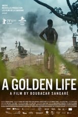 Poster for A Golden Life