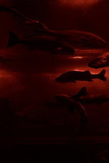 Red Wave​