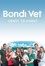 Poster for Bondi Vet: Coast to Coast