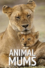 Animal Mums poster
