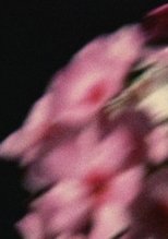 Five Year Diary, Reel 80: Emily Died (May 14–September 26, 1994) Five Year Diary, Reel 80: Emily Died (May 14–September 26, 1994)