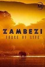 Poster for Zambezi: Force of Life 