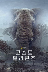 고스트 엘리펀츠