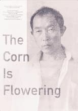 Poster for The Corn is Flowering