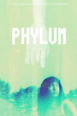 Phylum
