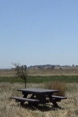 Ballad of a Wannabe Writer poster