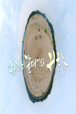 UHD추석 특집 다큐 쇠제비갈매기의 귀향 poster