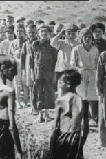 The Story of Seven-Hundred Polish Children