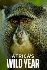 Poster di Africa's Wild Year