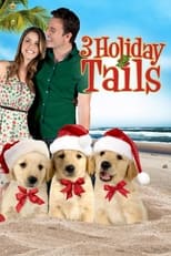 Poster for 3 Holiday Tails 