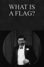 Poster for What is a flag?