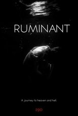 Ruminant