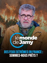 Des feux extrêmes en France : sommes-nous prêts ?