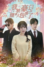 我被豪门继承人包围了 poster