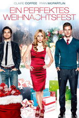 Ein perfektes Weihnachtsfest