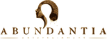 Abundantia Entertainment