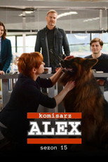 Season 15