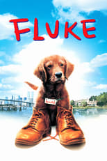 Poster for Fluke