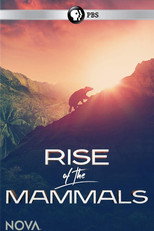 Rise of the Mammals poster