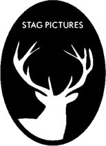 Stag Pictures