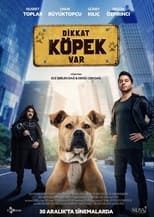 Poster for Dikkat Köpek Var