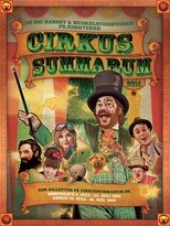 Cirkus Summarum 2014 poster