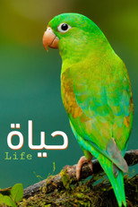 Life poster