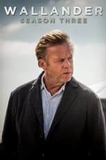 Poster for Wallander Season 3