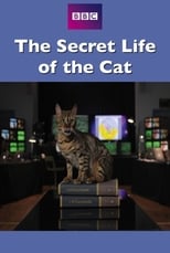 Poster for The Secret Life of the Cat 