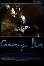 Poster for Caramujo-Flor