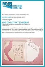 Poster for Why Do Cats Act So Weird? 