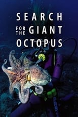Poster for Search for the Giant Octopus 